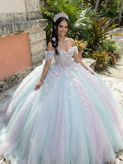 3D Floral Applique Quinceanera Dress Off Shoulder Tulle Princess Gown for 15th Birthday