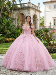 3D Floral Applique Quinceanera Dress Cold Shoulder Ball Gown for Photoshoot