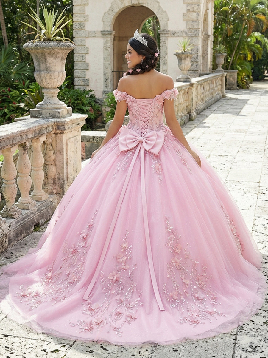 3D Floral Applique Quinceanera Dress Cold Shoulder Ball Gown for Photoshoot